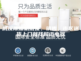 行业新闻武汉除湿机批发、销售、市区送货上门就找超迈电器