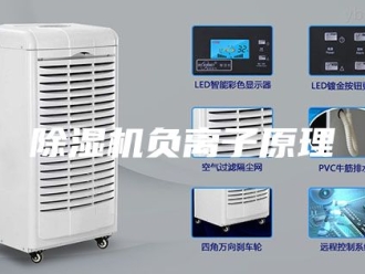 企业新闻除湿机负离子原理