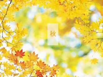知识百科一定要除湿的10大领域