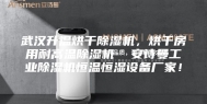 武汉升温烘干除湿机，烘干房用耐高温除湿机  安诗曼工业除湿机恒温恒湿设备厂家！