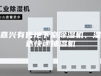 企业新闻嘉兴有售地下室除湿机、湿达快速抽湿机