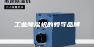 工业除湿机的领导品牌