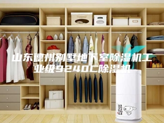行业新闻山东德州别墅地下室除湿机工业级9240C除湿机