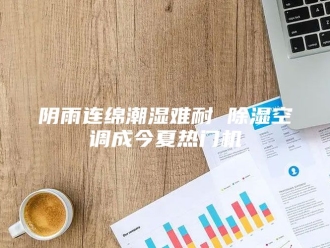 企业新闻阴雨连绵潮湿难耐 除湿空调成今夏热门机