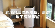 武汉耐高温除湿机，高温烘干房除湿机