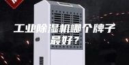 工业除湿机哪个牌子最好？