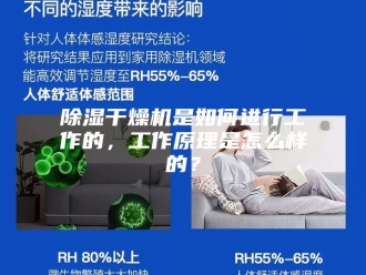 企业新闻除湿干燥机是如何进行工作的，工作原理是怎么样的？