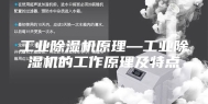 工业除湿机原理—工业除湿机的工作原理及特点