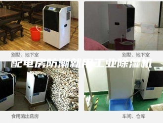 企业新闻配电房防潮就用工业除湿机