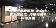 皮革仓库除湿机 防止皮革发霉长毛 皮革存放仓库除湿机