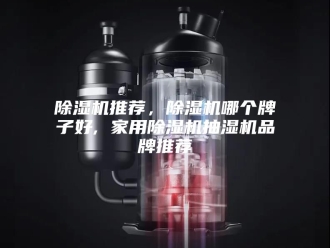 企业新闻除湿机推荐，除湿机哪个牌子好, 家用除湿机抽湿机品牌推荐