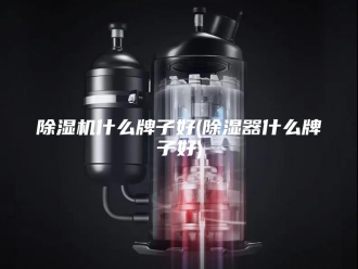 企业新闻除湿机什么牌子好(除湿器什么牌子好)