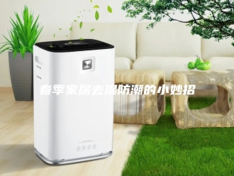 知识百科春季家居去湿防潮的小妙招