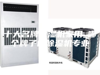 行业新闻十大名牌除湿机家用_哪个牌子的除湿机专业