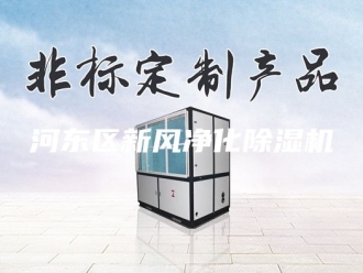 行业新闻河东区新风净化除湿机
