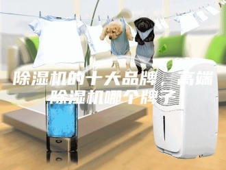 企业新闻除湿机的十大品牌，高端除湿机哪个牌子