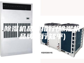 企业新闻除湿机品牌排行(除湿机品牌排行知乎)