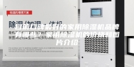 目前口碑最好的家用除湿机品牌有哪些？家用除湿机的价格和图片介绍
