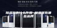 除湿器有什么作用 除湿器有哪些品牌