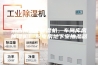 湘西州工业除湿机，车间库房抽湿机  配电房地下室抽湿器