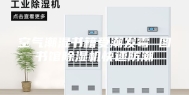 空气潮湿书籍受潮发霉 图书馆除湿机快速防潮