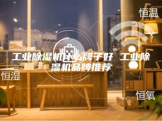行业新闻工业除湿机什么牌子好 工业除湿机品牌推荐
