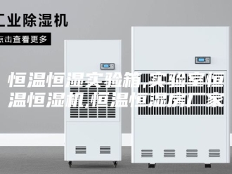 常见问题恒温恒湿实验箱,实验室恒温恒湿机,恒温恒湿房厂家