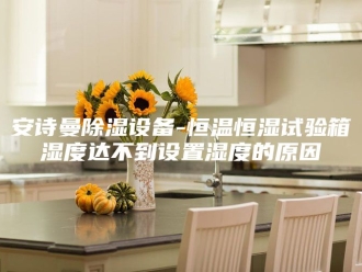 企业新闻安诗曼除湿设备-恒温恒湿试验箱湿度达不到设置湿度的原因