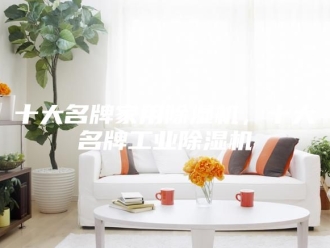 行业新闻十大名牌家用除湿机，十大名牌工业除湿机