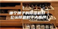 哪个牌子的除湿机好（公认除湿机十大品牌）