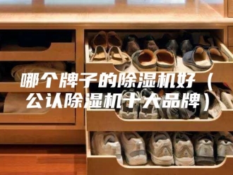 行业新闻哪个牌子的除湿机好（公认除湿机十大品牌）