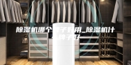 除湿机哪个牌子好用_除湿机什么牌子好