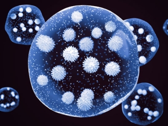 常见问题低湿度及其对空气传染的影响