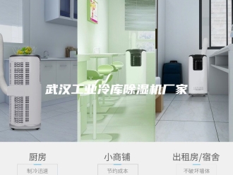 行业新闻武汉工业冷库除湿机厂家