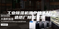 工业除湿机哪个牌子好，造纸厂除湿案例