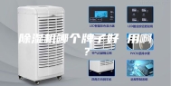 除湿机哪个牌子好 用啊？