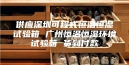 供应深圳可程式恒温恒湿试验箱 广州恒温恒湿环境试验箱 货到付款