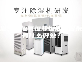 常见问题恒温恒湿恒氧恒静恒洁恒智系统有什么好处？