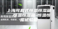 上海可程式恒温恒湿箱  恒温恒湿箱-恒温恒湿试验箱