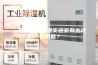 三坐标恒温恒湿实验室有些什么功能？