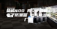 盐城400℃真空干燥箱 电子防潮箱 氮气除湿柜厂家