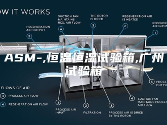 常见问题ASM-,恒温恒湿试验箱,广州试验箱