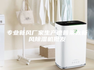 常见问题专业新风厂家生产德普莱太新风除湿机批发