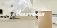 微电脑恒温恒湿试验箱