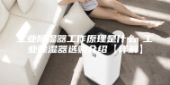 工业除湿器工作原理是什么 工业除湿器选购介绍【详解】