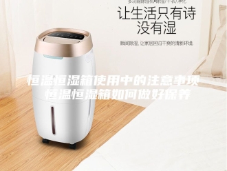 常见问题恒温恒湿箱使用中的注意事项 恒温恒湿箱如何做好保养