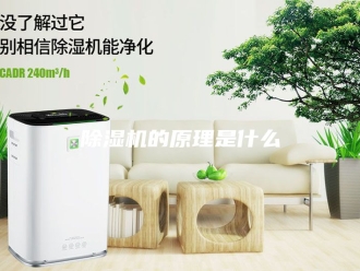 企业新闻除湿机的原理是什么