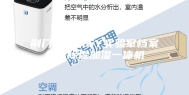 荆门恒湿机6Y实验室档案机房除湿加湿一体机