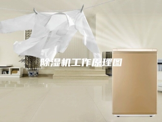 企业新闻除湿机工作原理图