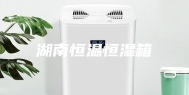 湖南恒温恒湿箱
